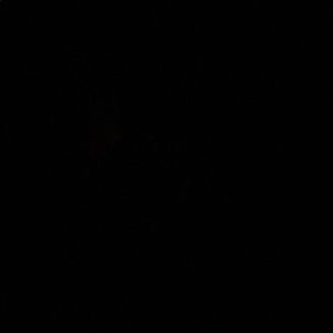 Meet your Posher, Kristine